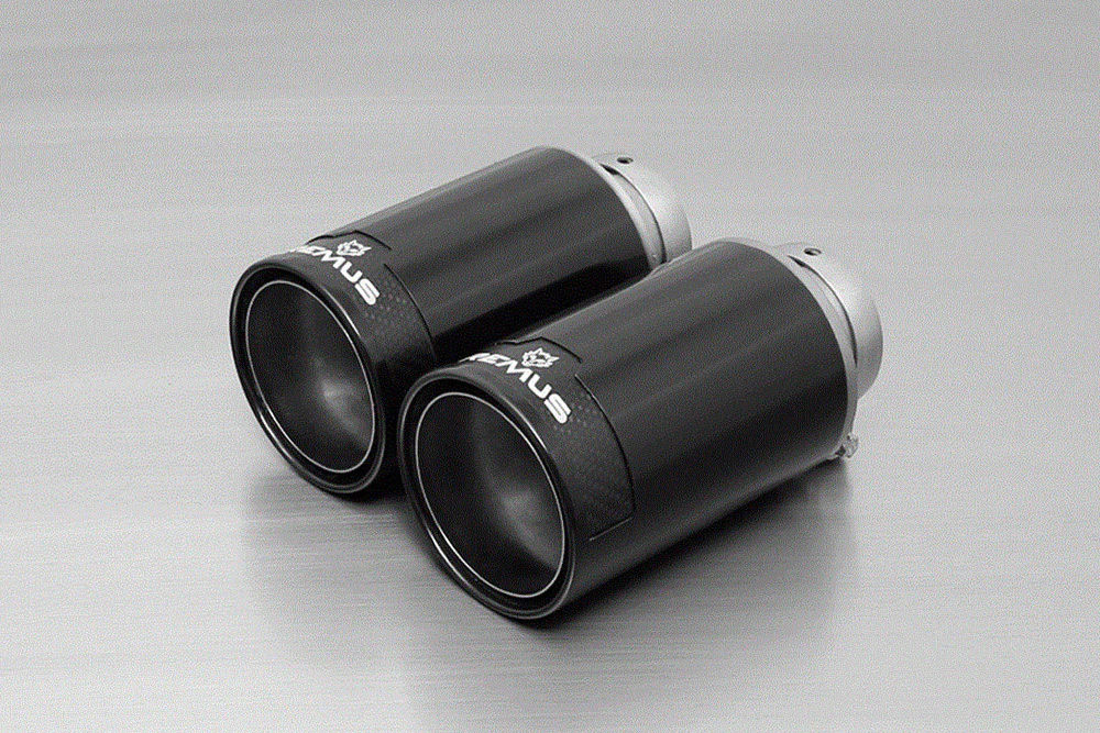 Remus Wolf Inside Rear Silencer for E63 E64 650ci - Image 5